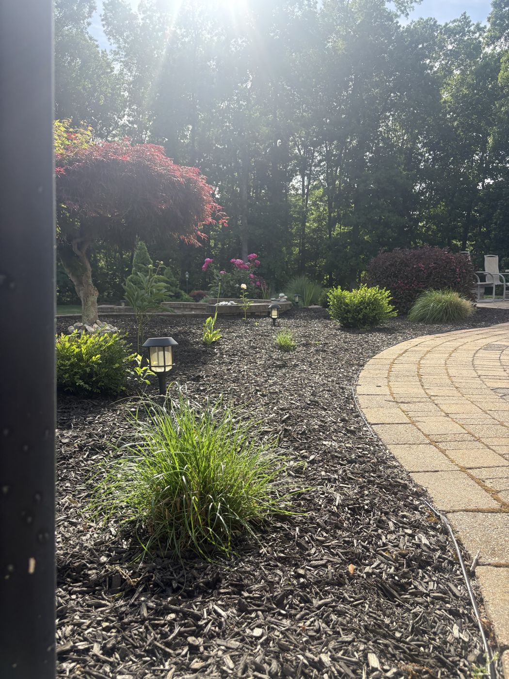 Clean mulched bed with ornamental grass and path lights along a paver walkway