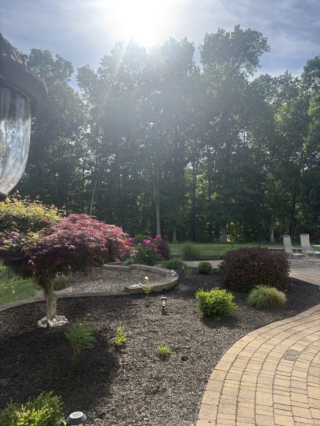 Mulched beds around a Japanese maple beside a paver patio