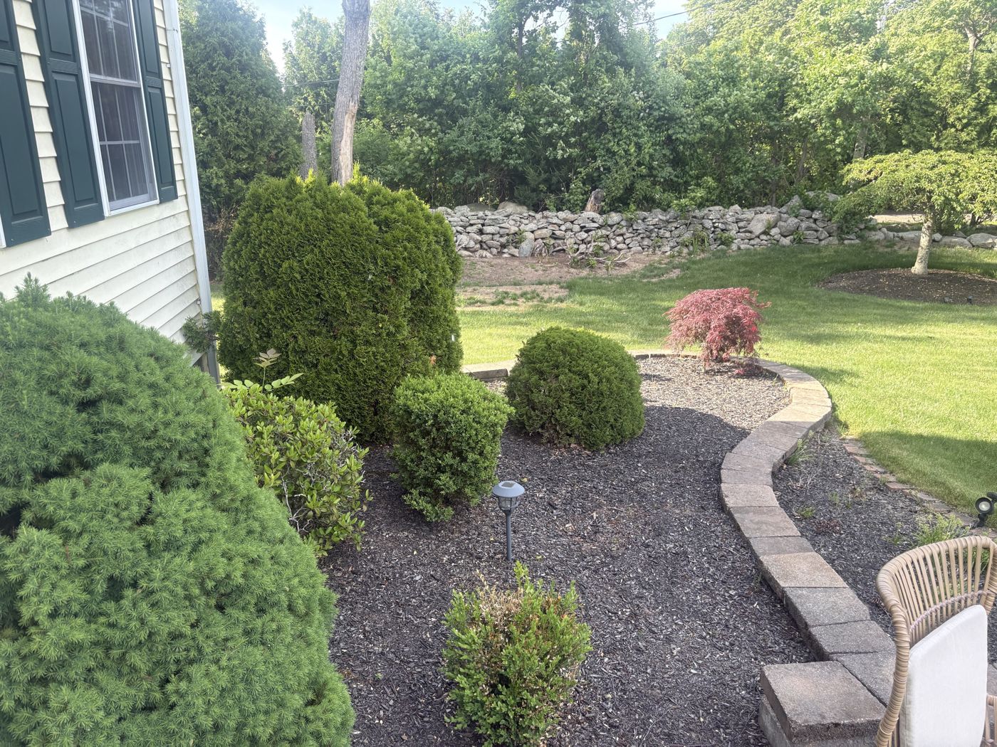 Shaped evergreen shrubs and curved stone border along a house
